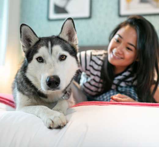 Woman and dog