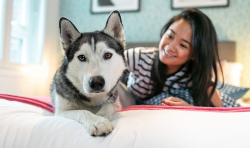 2 Bedroom - Image 1 of 1